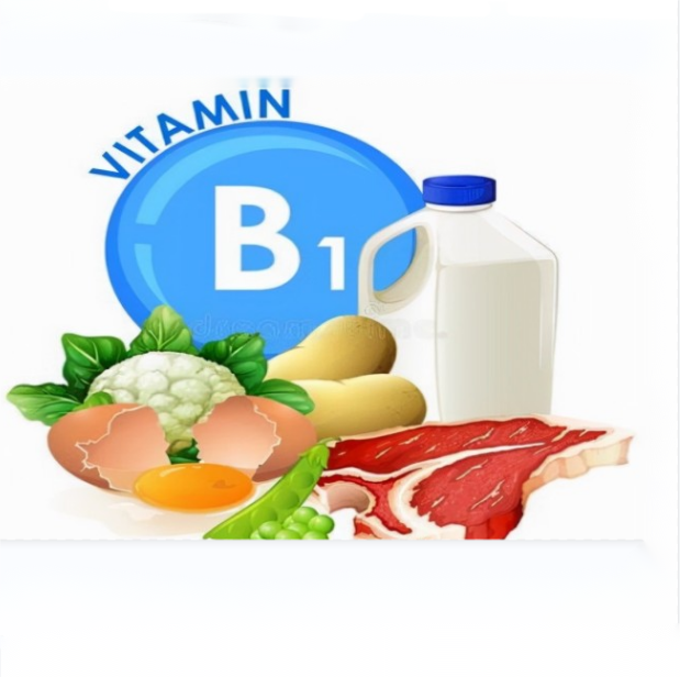 La función fisiológica de la vitamina B1